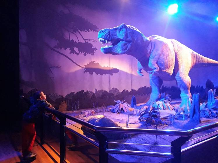 IMG-08311dc8fc17c7d0f4db8f2d46bebd4d-V (1)