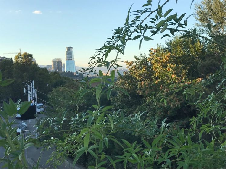 IMG-306cfc3f509861c863cda9a8646dd34c-V