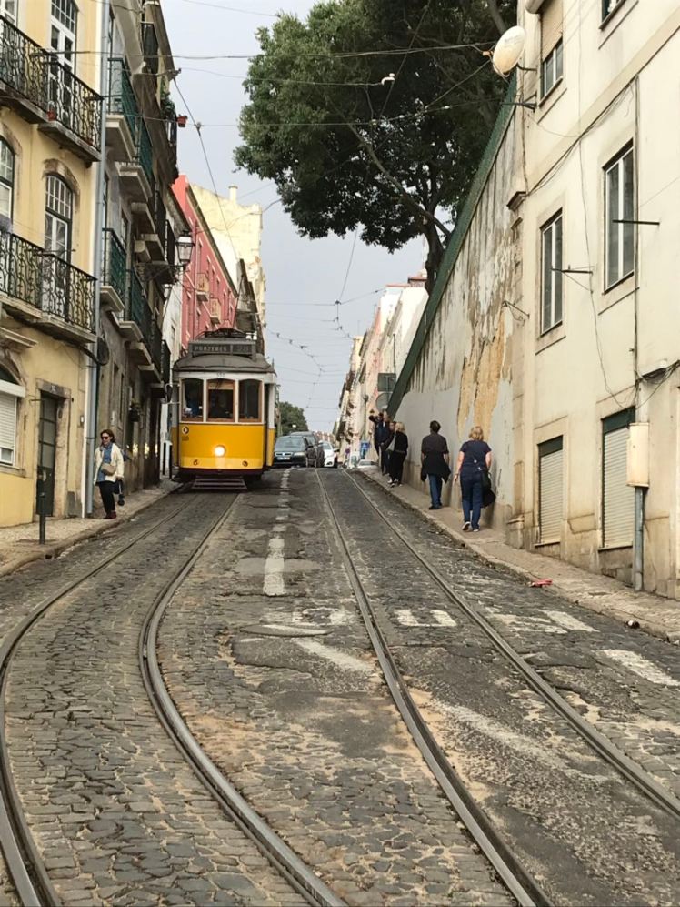 IMG-148dcceb03c92edd1db088f3d1646d51-V