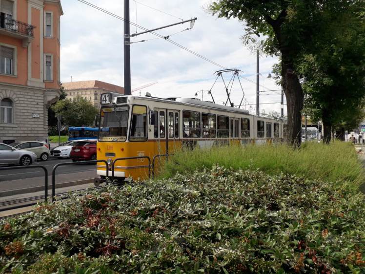 IMG-238132eb47b47f6de154747cb1a7c47d-V