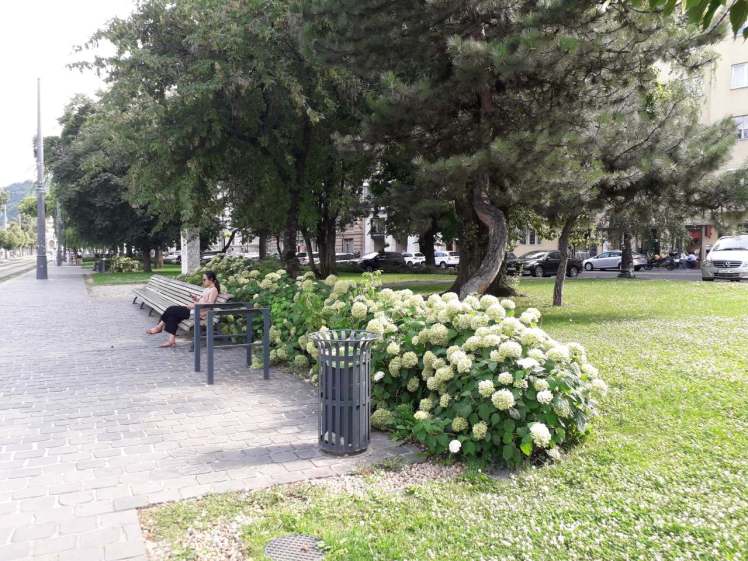 IMG-a9e779c6f9942faefe7504ac3046dbac-V