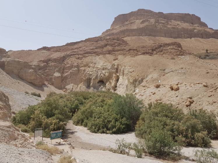 IMG-ed87d59de079b3088cbba03f59a3c09f-V