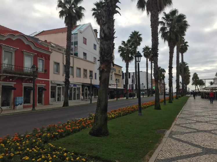 IMG-195f7ce34284c81788b596d0fa216132-V