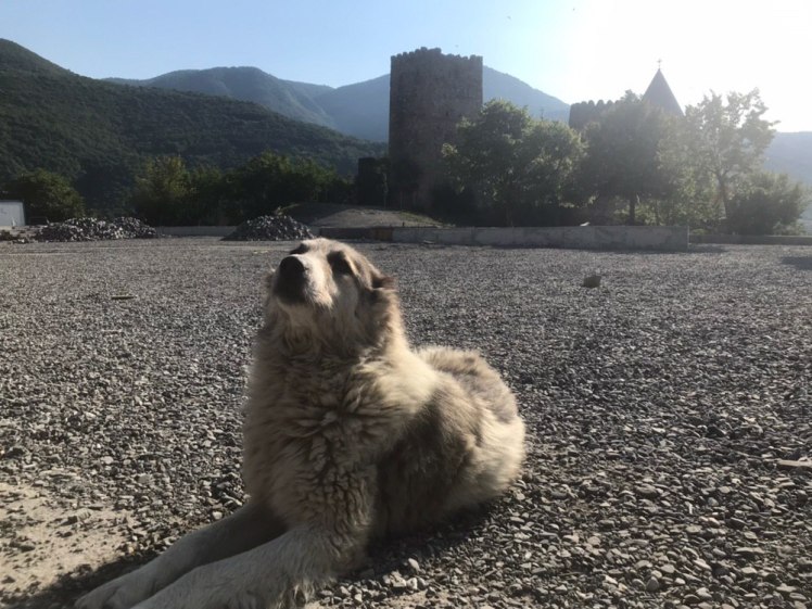 IMG_20190705_091249_413