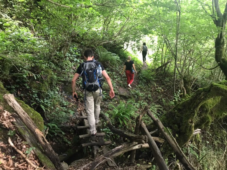 IMG_20190708_201400_266