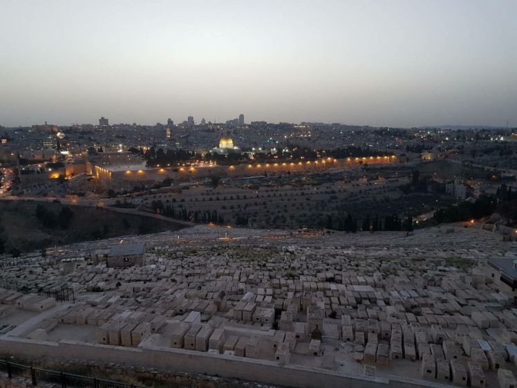 0_IMG-0c361fcd17a3c5bc6d83ff1110217527-V