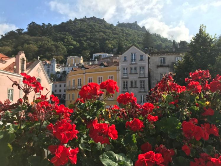 0_IMG-c645bd760b4a82edbae93bf066f86c3e-V