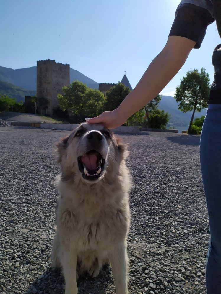 0_IMG_20190705_081852