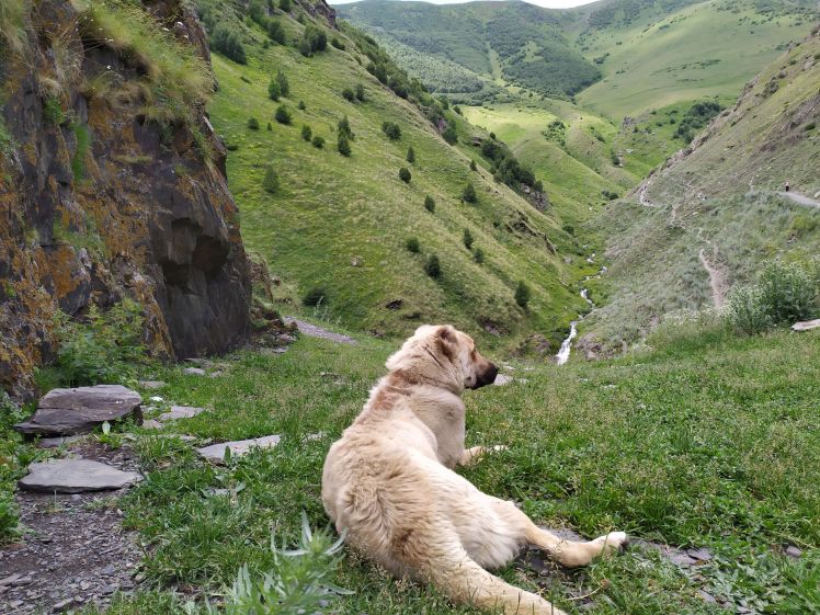 0_IMG_20190705_115258