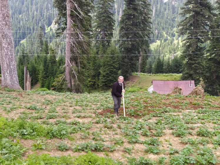 0_IMG_20190706_154054