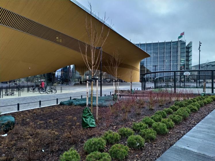 0_IMG_20200117_102349