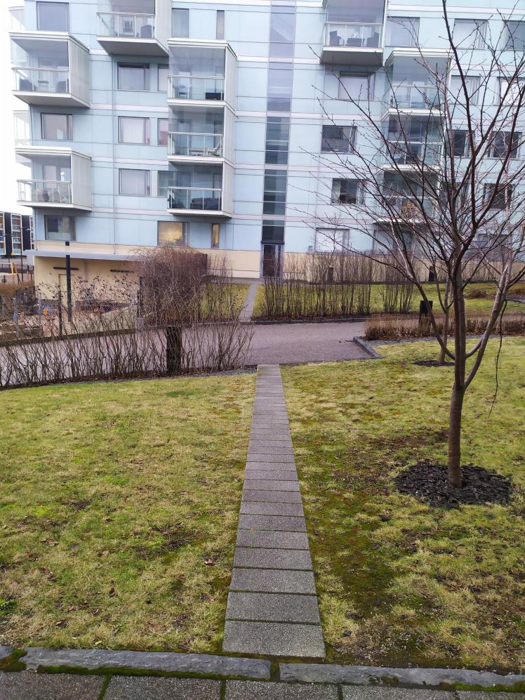 0_IMG_20200117_133319