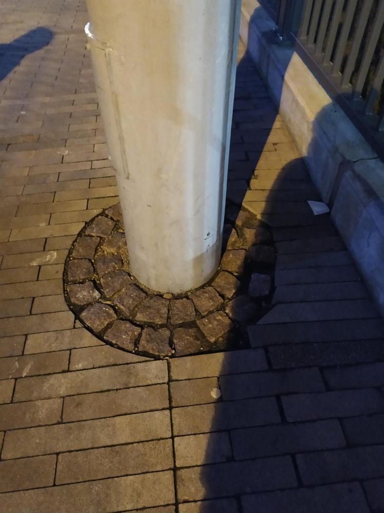 0_IMG_20200120_195842