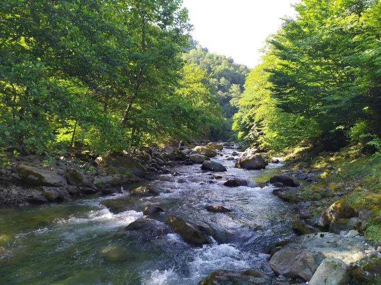 0_IMG_20200320_141751_167